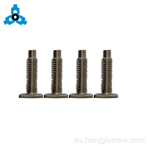 Soporte de stock OEM de cabeza cuadrada de acero inoxidable T-Bolt